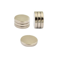 Everhang 18mm Neodymium Disc Magnets 3PCS