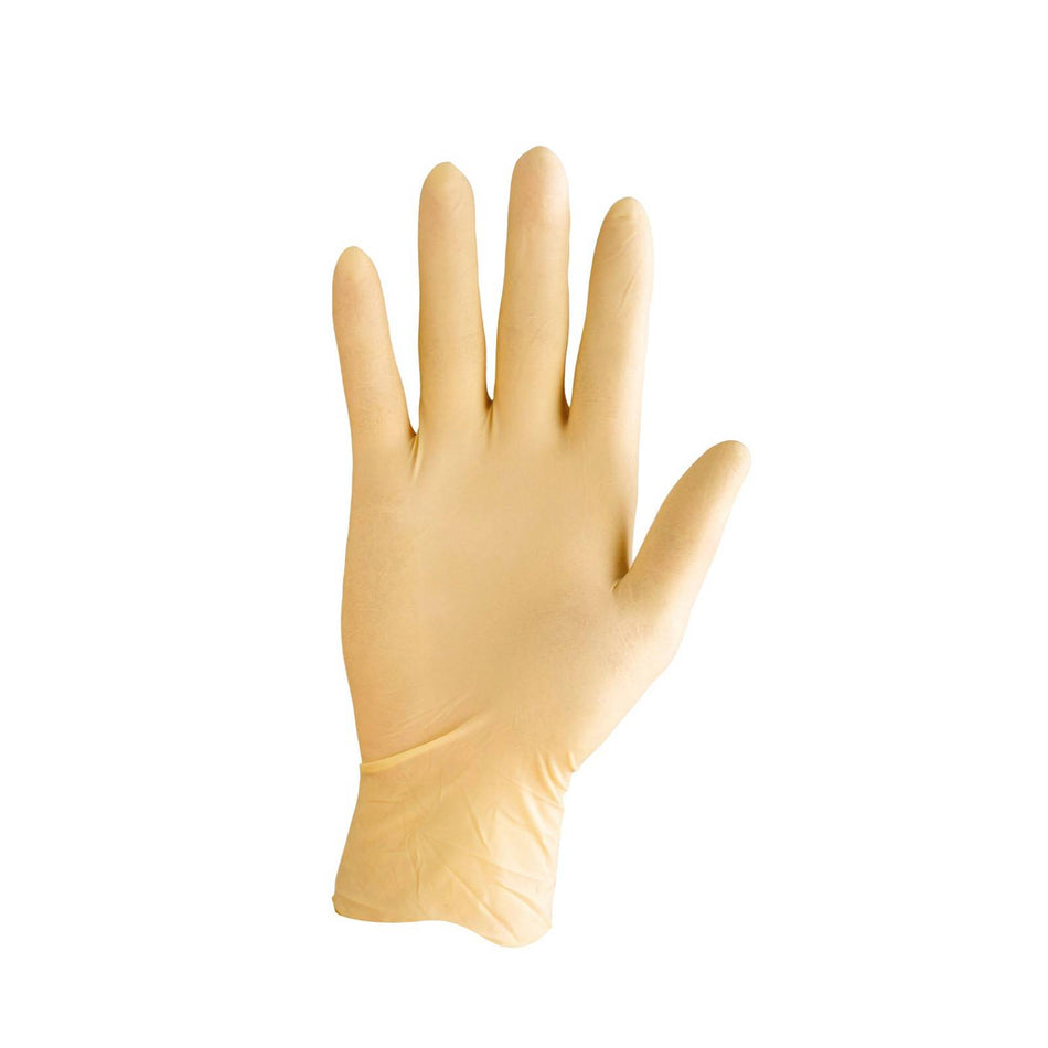 Proval Securitex PF Latex Examination Glove