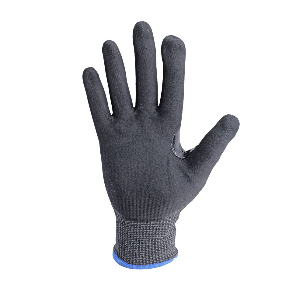 Proval TNGF Gloves